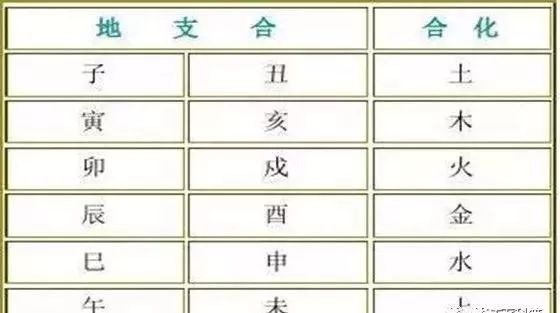 四柱命理入门,十二地支六合
